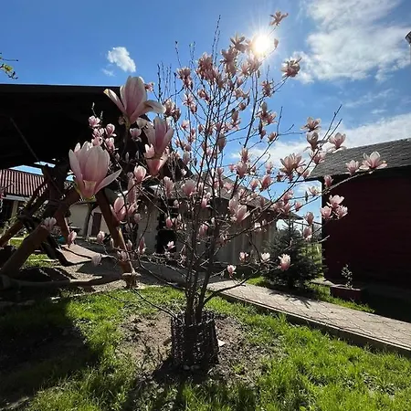 펜션 'carolina' With Hot Tub, Sauna And Bbq Area *