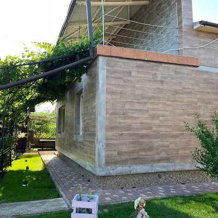 'carolina' With Hot Tub, Sauna And Bbq Area 코시우