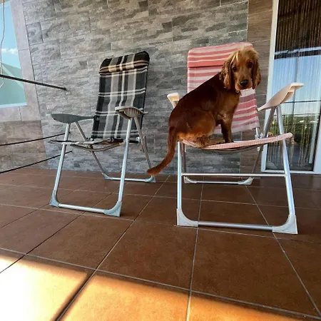 'carolina' With Hot Tub, Sauna And Bbq Area