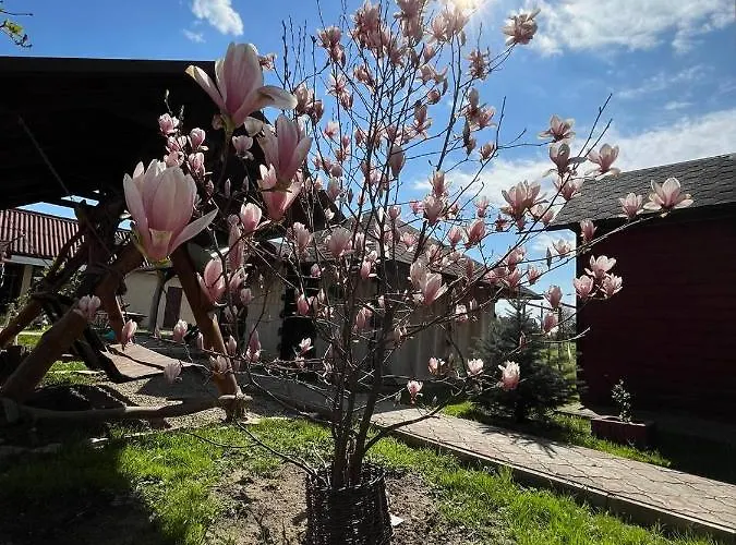 度假居 'carolina' With Hot Tub, Sauna And Bbq Area *