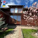 'carolina' With Hot Tub, Sauna And Bbq Area Vakantiehuis *